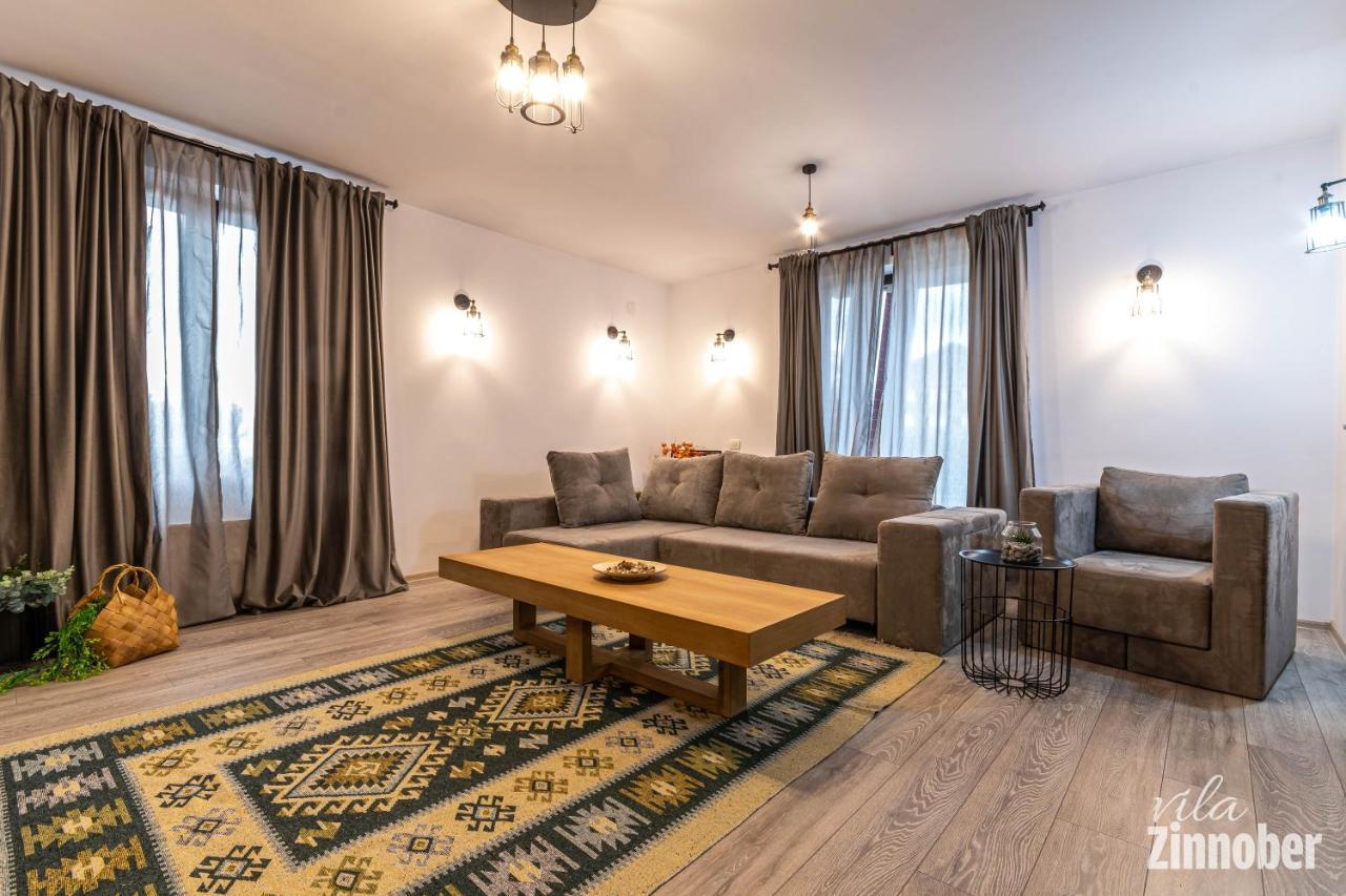 Vila Zinnober Брашов Екстериор снимка