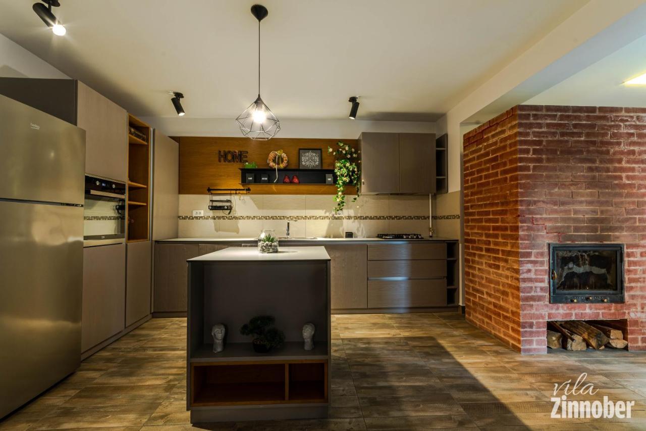Vila Zinnober Брашов Екстериор снимка