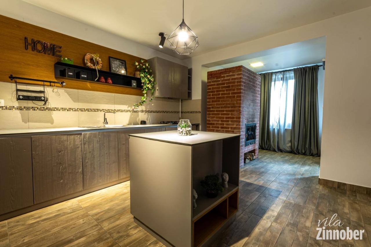 Vila Zinnober Брашов Екстериор снимка