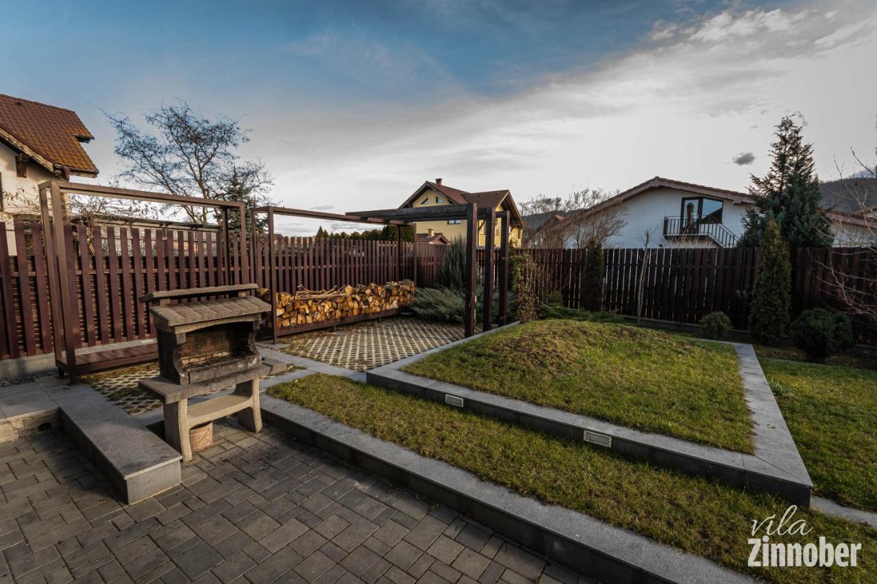 Vila Zinnober Брашов Екстериор снимка